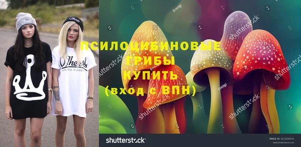 бошки Армянск